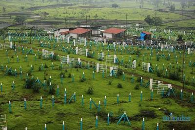 Image of 7700 Sq.ft Residential Plot / Land for sale in Neral, Thane for Rs. 6922300