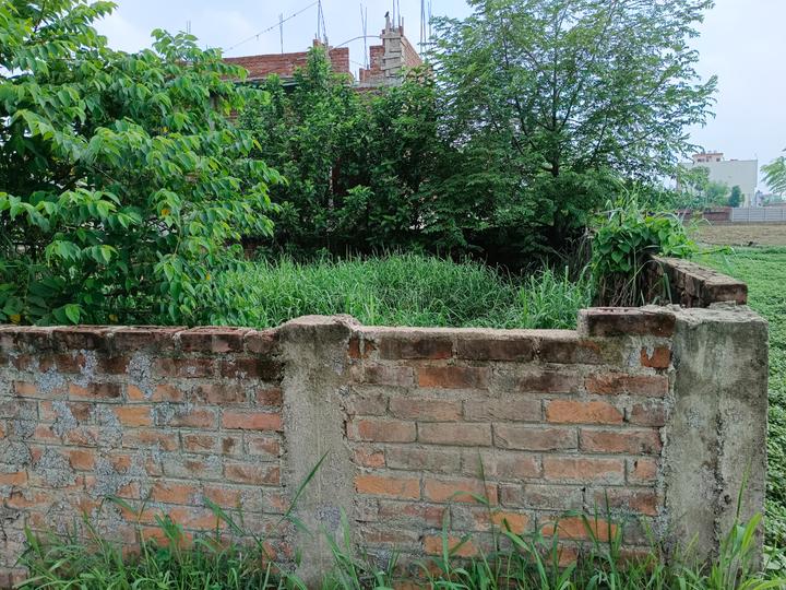 Moriya Bihar Coloney 14 Dhur Boundry Plot Main Image 1