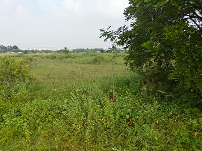Image of 2400 Sq.ft Residential Plot / Land for sale in Panjappur, Tiruchirappalli for Rs. 7680000