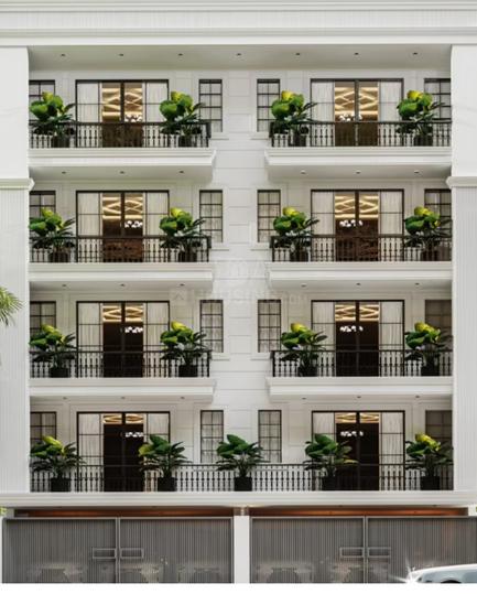 Amolik Aster Woods Main Image 1