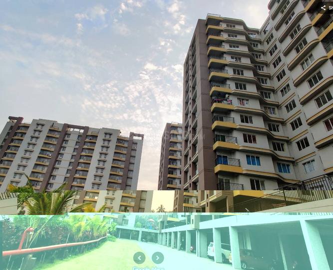 Magnolia Oxygen Main Image 1