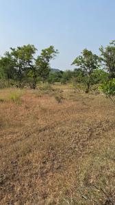 Image of 11000 Sq.ft Residential Plot / Land for sale in Varve Khurd, Pune for Rs. 1750000