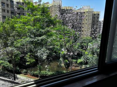 Balcony Image of 594 Sq.ft 1 BHK Apartment / Flat for rent in Lodha Casa Rio, Palava Phase 1 Thane for Rs. 13000