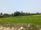Diamond Park Plot View 2