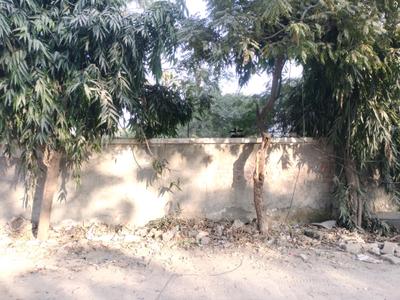 Pocket D Plot View 1