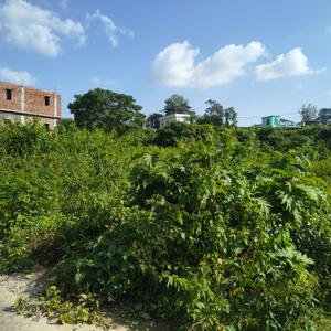 Image of 312 Sq.ft Residential Plot / Land for sale in Galajwari, Dehradun for Rs. 18650000
