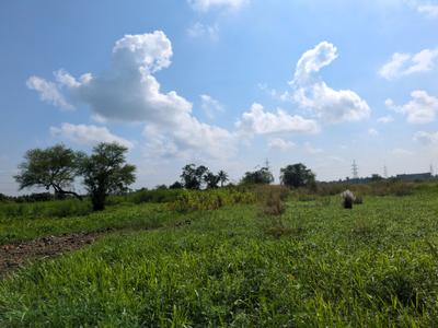 Wander Valley Plot View 2