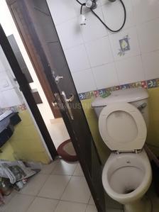 Bathroom Image of 1564 Sq.ft 3 BHK Apartment / Flat for sale in Suncity Essel Towers, Sushant Lok Phase 1 Gurgaon for Rs. 31000000