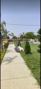 Image of 800 Sq.ft Residential Plot / Land for sale in Bada Bangarda, Indore for Rs. 2080000