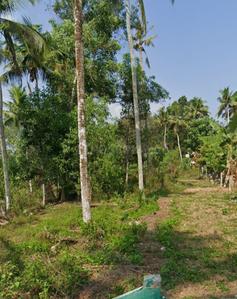 Image of 4792 Sq.ft Residential Plot / Land for sale in Pothencode, Thiruvananthapuram for Rs. 3800000
