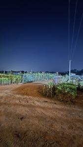 Image of 7000 Sq.ft Residential Plot / Land for sale in Kumhari, Bhilai for Rs. 3157000