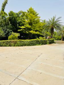 Image of 43560 Sq.ft Residential Plot / Land for sale in Vatika Westin Sohna Resort, Karnki, Gurgaon for Rs. 40000000