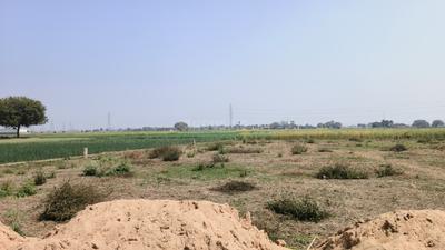 Image of 750 Sq.ft Residential Plot / Land for sale in Chirora, Patna for Rs. 1725000
