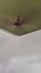 Bedroom Image of 1500 Sq.ft 3 BHK Independent House for rent in Vashi Navi Mumbai for Rs. 65000