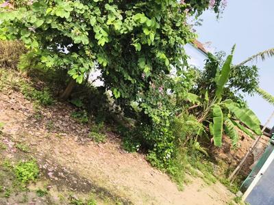 Image of 850 Sq.ft 2 BHK Independent House for sale in Dharapuram, Tiruppur for Rs. 6000000