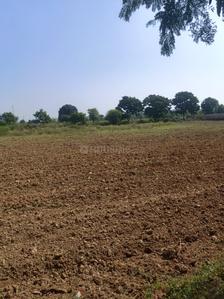 Image of 500 Sq.ft Residential Plot / Land for sale in Sector 97, Mohali for Rs. 39000000