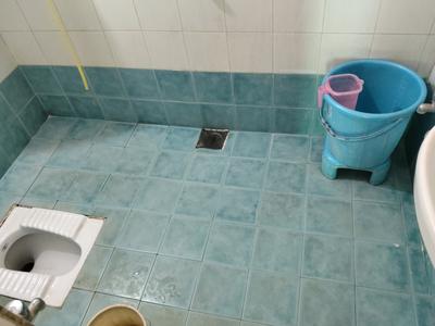 Common Bathroom Image of 2475 Sq.ft 3 BHK Villa for sale in Swagat City by Swagat Group, Adalaj Gandhinagar for Rs. 23000000