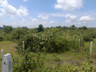 Image of 700 Sq.ft Residential Plot / Land for sale in Lohegaon, Pune for Rs. 1900000