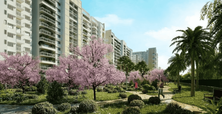 Vaswani Starlight Main Image 1