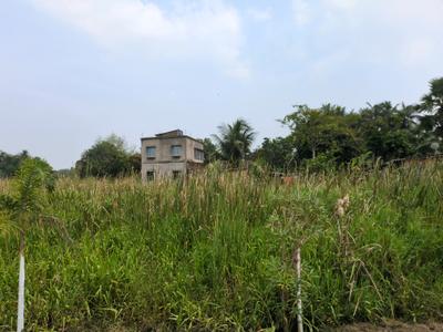 Nest Valley Plot View 2