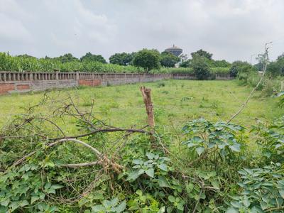 Image of 305 Sq.ft Residential Plot / Land for sale in Ecotech I, Greater Noida for Rs. 27450000