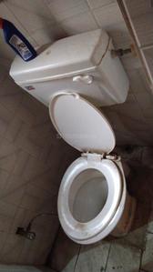 Bathroom Image of 700 Sq.ft 1 BHK Apartment / Flat for rent in Patparganj New Delhi for Rs. 24000