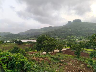 Image of 10890 Sq.ft Residential Plot / Land for sale in Igatpuri, Nashik for Rs. 5000000
