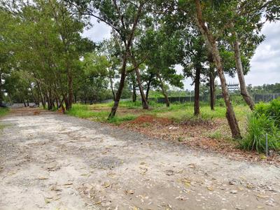Image of 2613 Sq.ft Residential Plot / Land for sale in Kakkanad, Kochi for Rs. 4950000