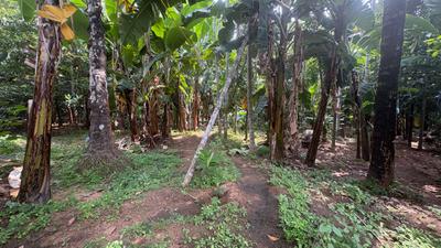 Image of 627 Sq.ft Residential Plot / Land for sale in Peringavu, Thrissur for Rs. 14700000