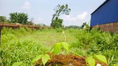 Image of 5000 Sq.ft Residential Plot / Land for sale in Chuttu, Ranchi for Rs. 9000000