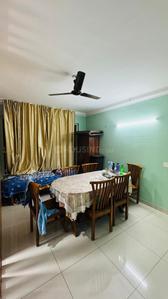 Image of Purva Sunflower  in Magadi, Bengaluru