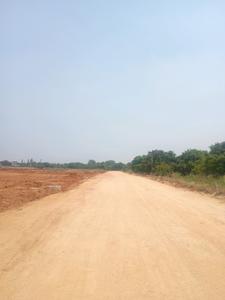 JBS Serene County II Internal Roads 2