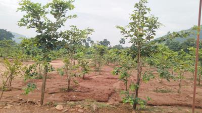 Image of 200 Sq.ft Residential Plot / Land for sale in Srungavarapu kota, Vizianagaram for Rs. 900000