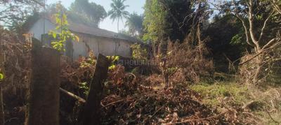 Image of 2450 Sq.ft Residential Plot / Land for sale in Colvale, Goa for Rs. 61300000