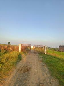 Image of 1000 Sq.ft Residential Plot / Land for sale in Koshta, Rewa for Rs. 1000000