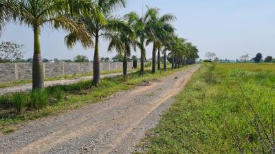 Image of 9000 Sq.ft Residential Plot / Land for sale in Datrenga, Raipur for Rs. 3990000