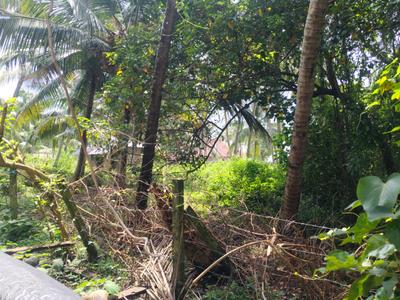 Image of 28311 Sq.ft Residential Plot / Land for sale in Panangad, Kochi for Rs. 65000000