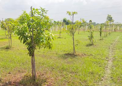 Image of 9600 Sq.ft Residential Plot / Land for sale in Sri Sai Garden, Walajabad, Chennai for Rs. 2100000