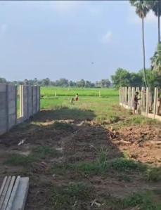 Image of 800 Sq.ft Residential Plot / Land for sale in Danapur, Patna for Rs. 2040000