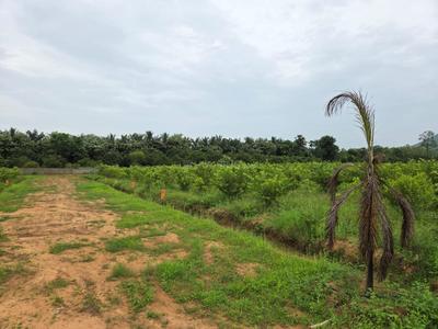 Image of 100 Sq.ft Residential Plot / Land for sale in Gajapatinagaram, Vizianagaram for Rs. 550000