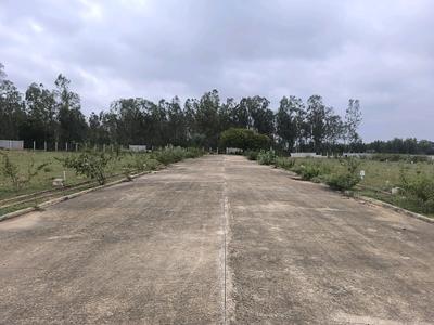 Image of 1200 Sq.ft Residential Plot / Land for sale in Hoskote, Bengaluru for Rs. 3420000