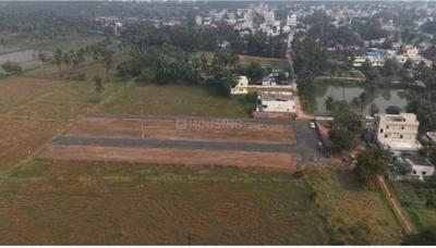 Image of 1200 Sq.ft 2 BHK Independent House for sale in Pedamiram, Bhimavaram for Rs. 6100000
