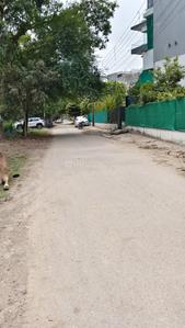 Sector 21 Plot View 3