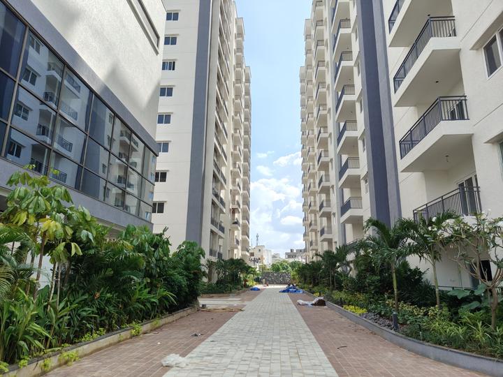 The Tamarind Main Image 1