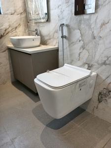 Common Bathroom Image of 1600 Sq.ft 3 BHK Builder Floor for sale in Sector 14 Gurgaon for Rs. 20000000
