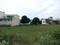 Sector 76 Plot View 2