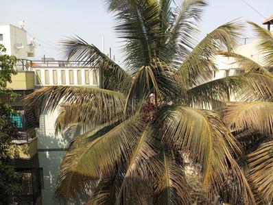 Image of 1320 Sq.ft 3 BHK Apartment / Flat for sale in Elegant Elite by Elegant Builder And Developers, ISRO Layout, Bengaluru for Rs. 10900000
