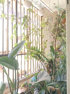 Living Room Image of 750 Sq.ft 2 BHK Apartment / Flat for sale in Bhoomi Acres, Thane West Thane for Rs. 10000000
