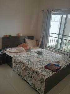 Bedroom Image of 850 Sq.ft 1 BHK Apartment / Flat for rent in Godrej Infinity, Mundhwa Pune for Rs. 30000