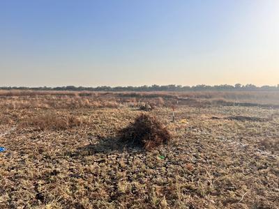 Image of 1089 Sq.ft Residential Plot / Land for sale in Shirdhon, Navi Mumbai for Rs. 1100000